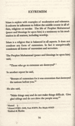 Islam - A Religon of Terror ? - Bild 4