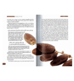 Islamic Medicine: The Key To A Better Life - Bild 3