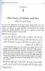 Stories of the Prophets - Bild 3