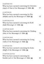 The Sublime Beauty Of The Prophet (ﷺ) - Bild 3