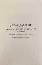 Driving the souls to the Abodes of Happiness - Bild 2