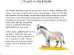 Goodnight Stories from the Life of the Prophet Muhammad - Bild 2