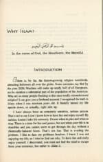 Why Islam? - Bild 3