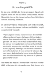Glimtar av en skatt - Bild 2