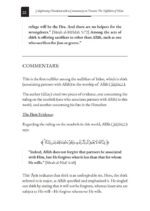 Nullifiers of Islam - Bild 6
