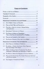 Exemplary Principles Concerning The Beautiful Names Of Allah - Bild 2