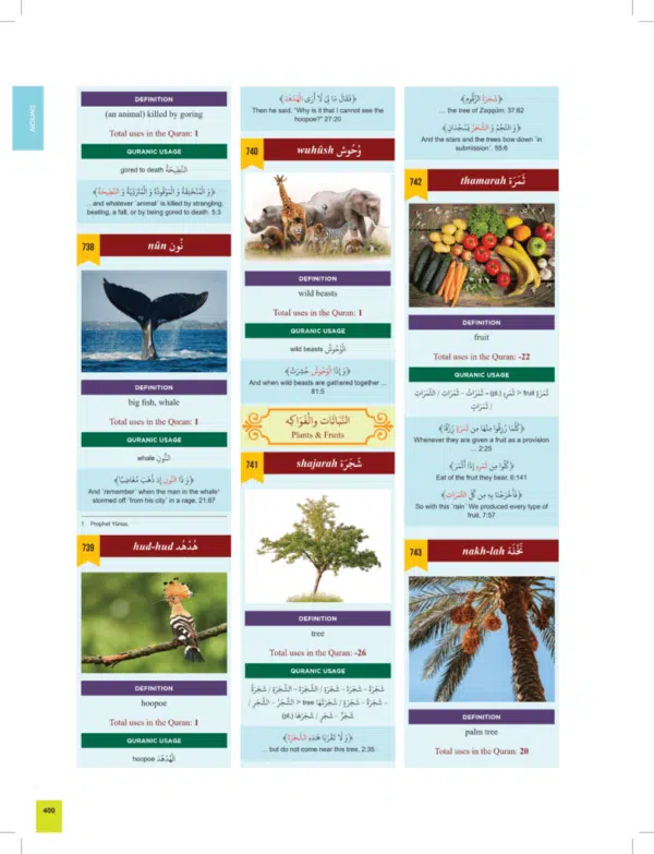 the clear quran series dictionary 6