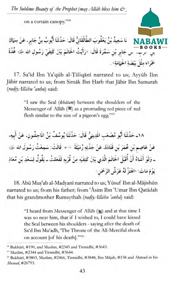 the sublime beauty of the prophet ﷺ