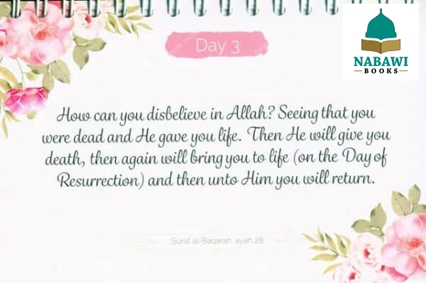 365 quran reminders pink 3