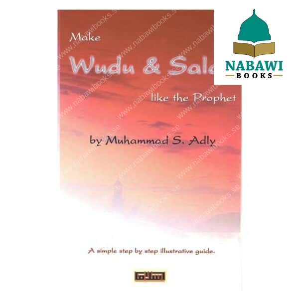 make wudu salaah like the prophet صلی الله علیه وآلیه وسلم 2
