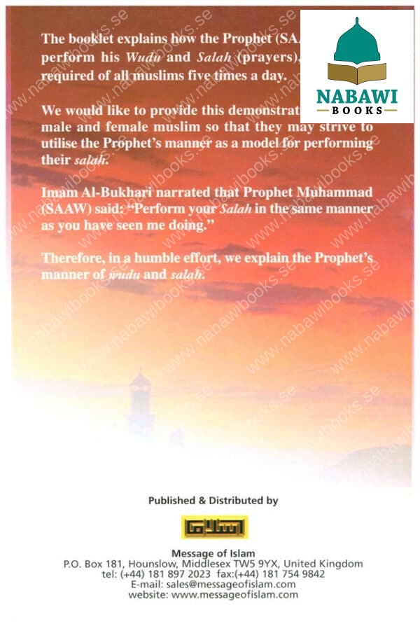 make wudu salaah like the prophet صلی الله علیه وآلیه وسلم