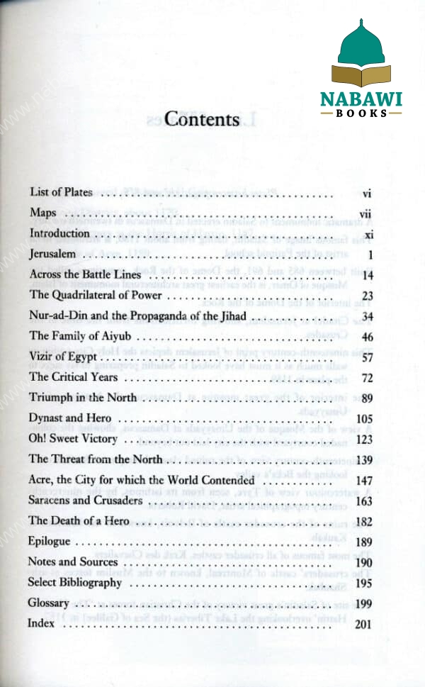 saladin hero of islam 2