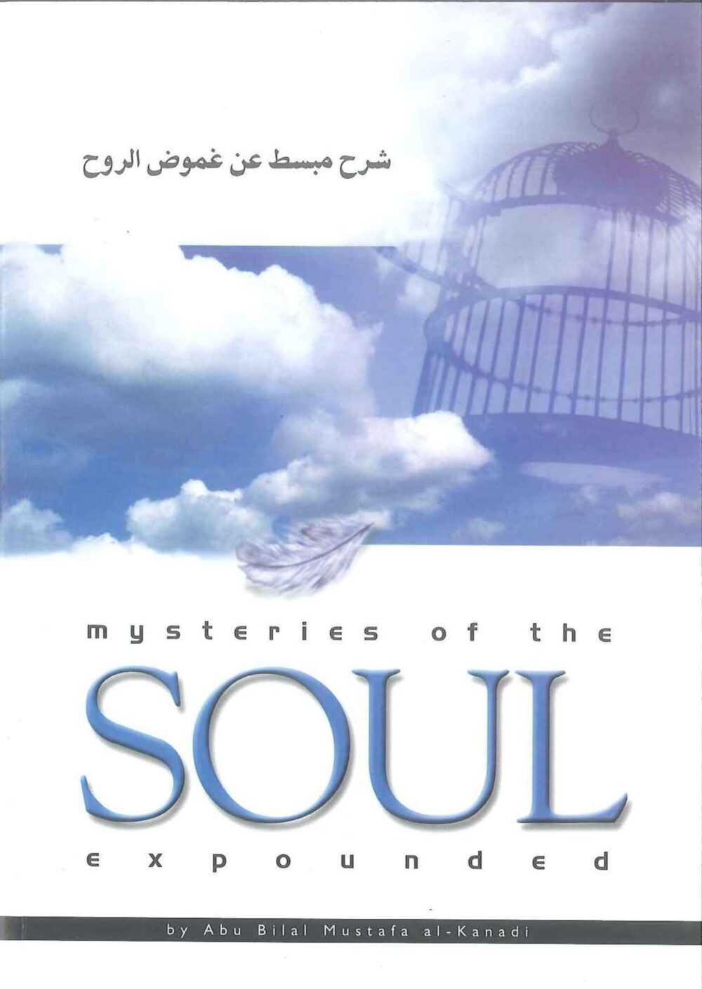 soul_1_1__99096.1581524792 Mysteries Of The Soul Expounded - Bild 1
